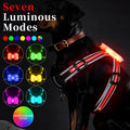 USB charging luminous dog leash with seven-colour LED light strip in nylon construction