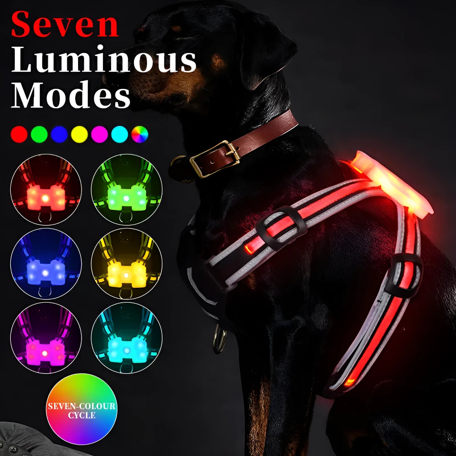 USB charging luminous dog leash with seven-colour LED light strip in nylon construction