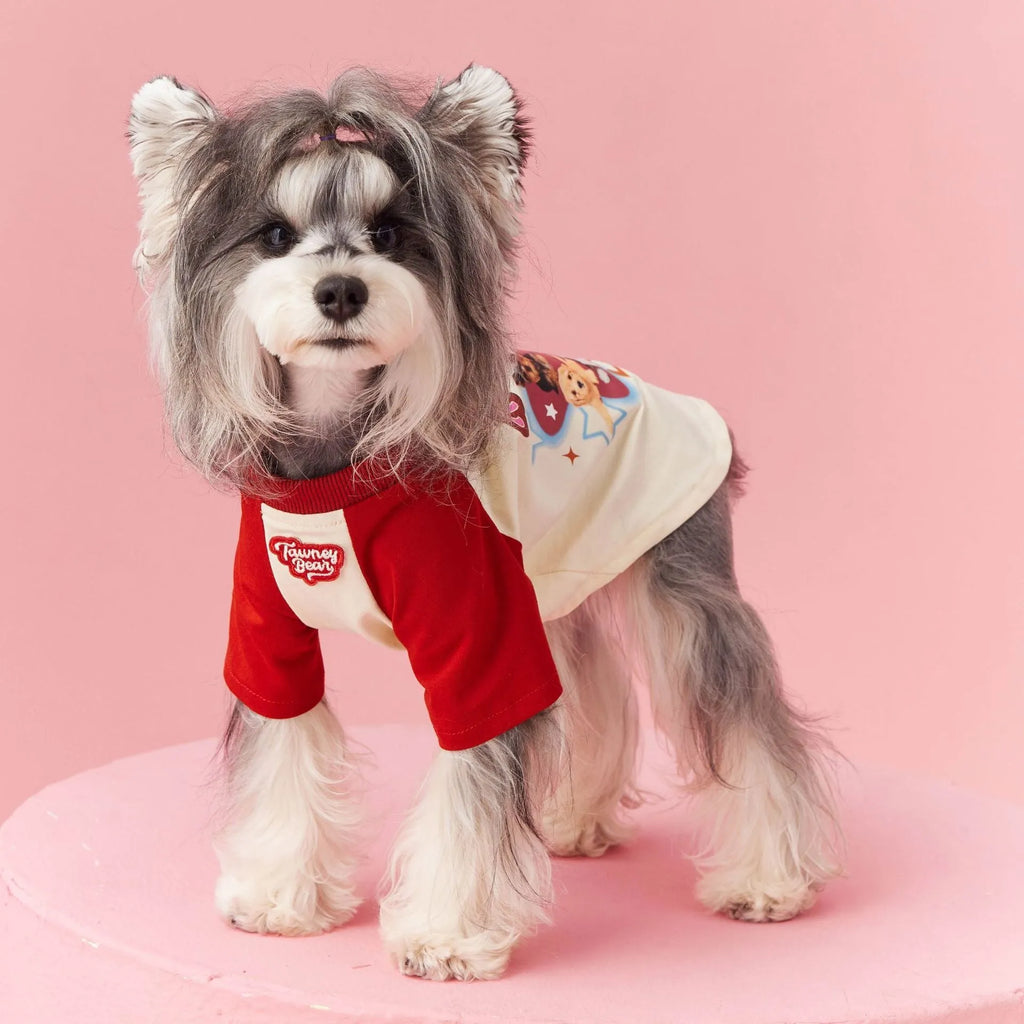 Red embroidered cotton summer clothes for a dog on a size chart showing XS to XXL.