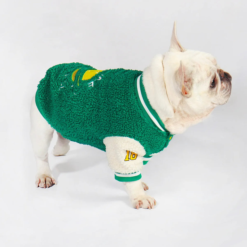Green fleece-lined cotton dog winter clothing showing pullover design for cold weather protection