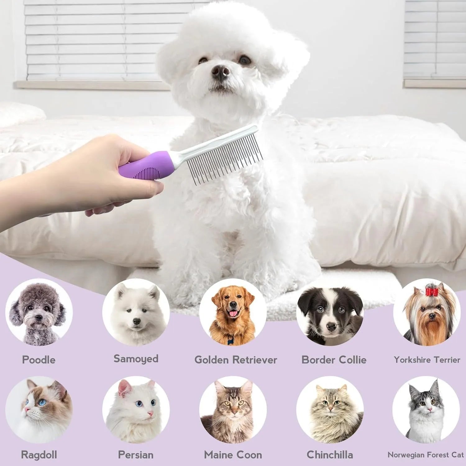 Purple pet detangling comb with stainless steel teeth shown on a dark background