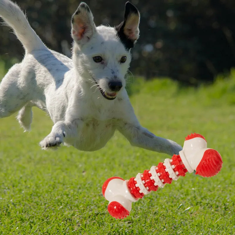 Blue, orange, and red bone-shaped interactive dog chew toy for small breeds with treat holder.