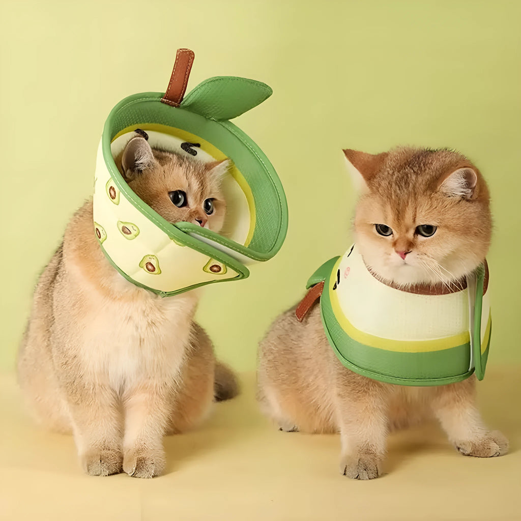 Soft EPE foam cat cone collar with adjustable strap in three sizes