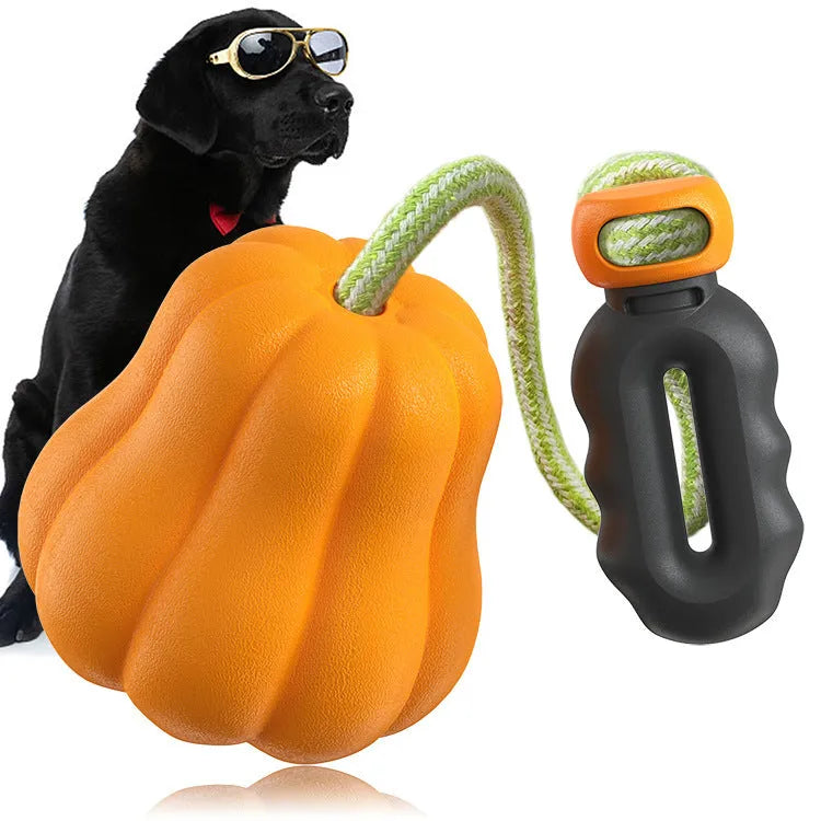 Pumpkin coloured plastic dog chew toy with a blue rope handle for tug and fetch.