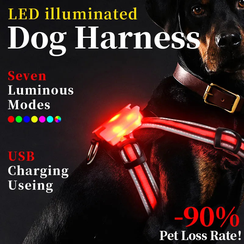 USB charging luminous dog leash with seven-colour LED light strip in nylon construction