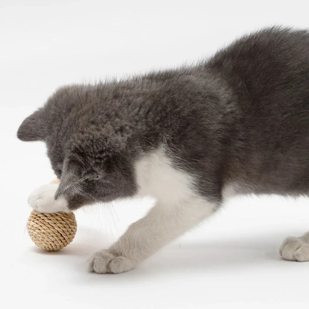 Cat toy set showing rattan ball and faux feather ball with bell, measuring 4x9cm and 3.5cm diameter respectively