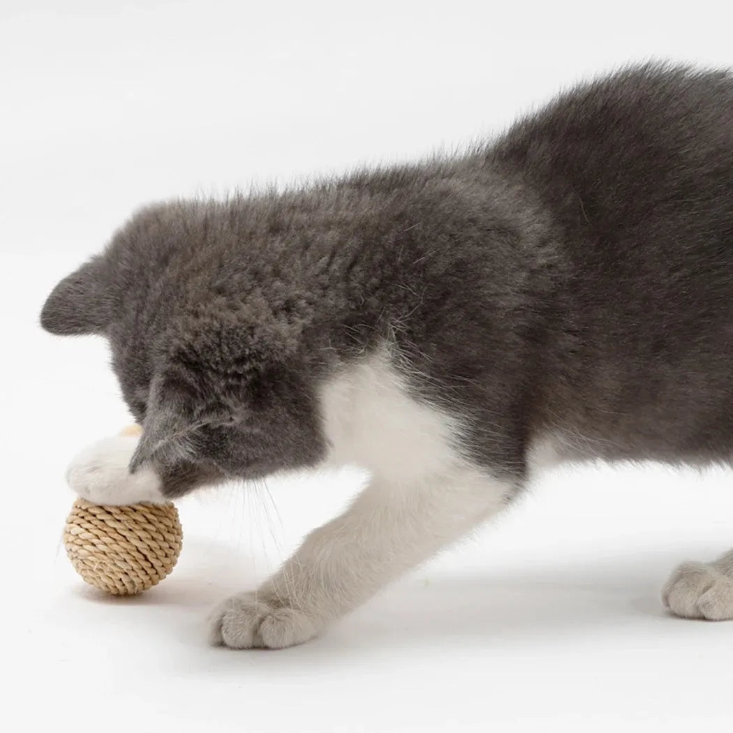 Cat toy set showing rattan ball and faux feather ball with bell, measuring 4x9cm and 3.5cm diameter respectively
