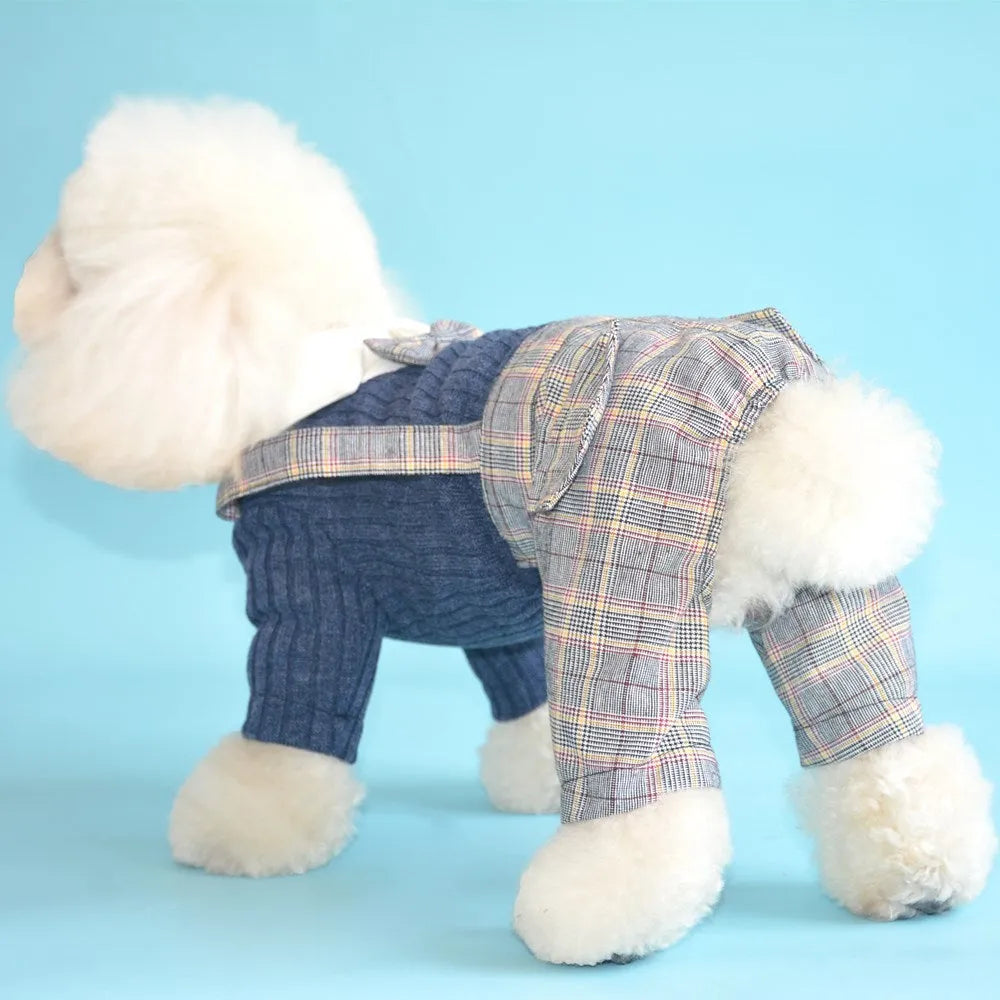Orange and dark blue cotton dog shirt for small dogs in sizes S to 2XL