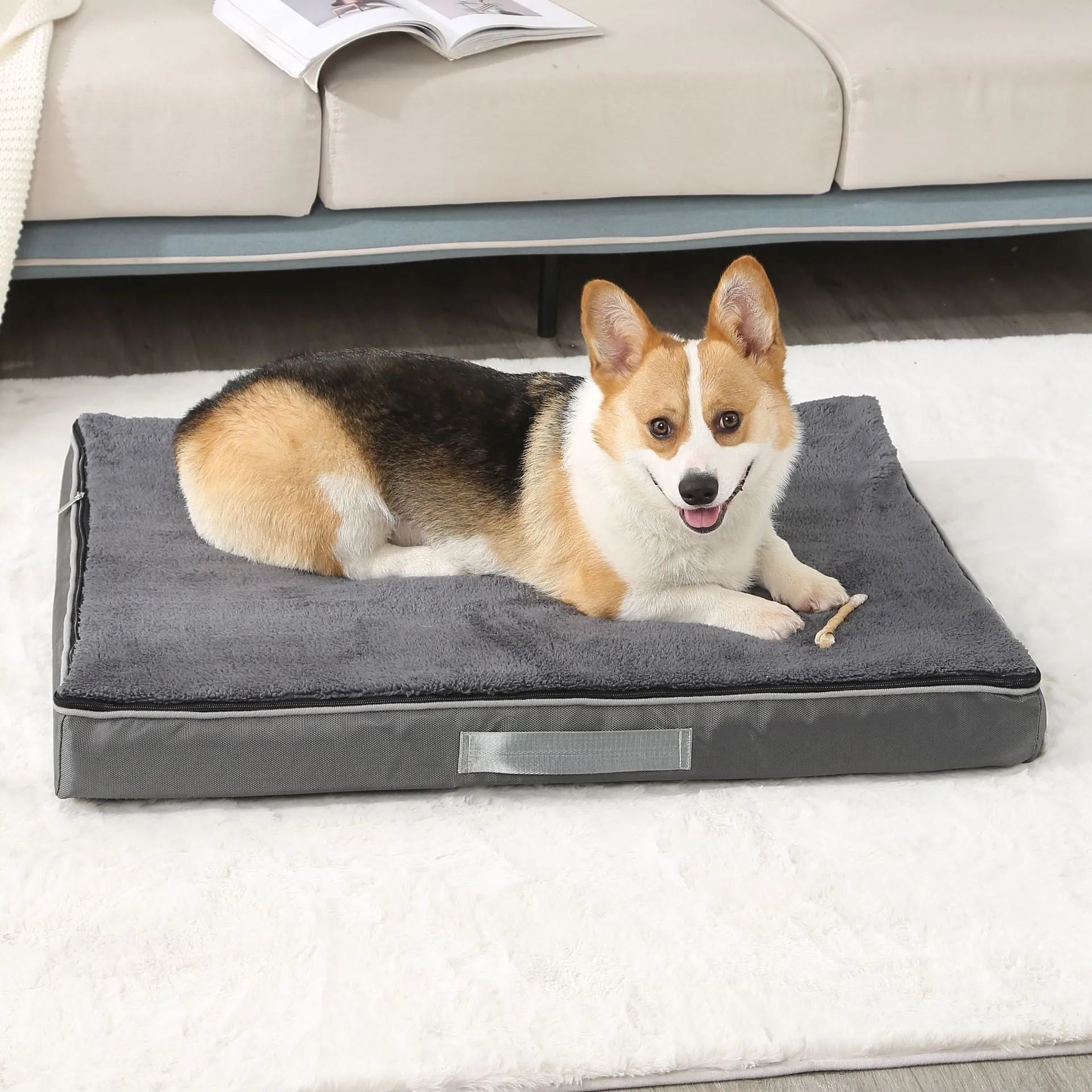 Removable washable memory sponge dog mat in khaki, sizes from 50x40cm to 120x75cm