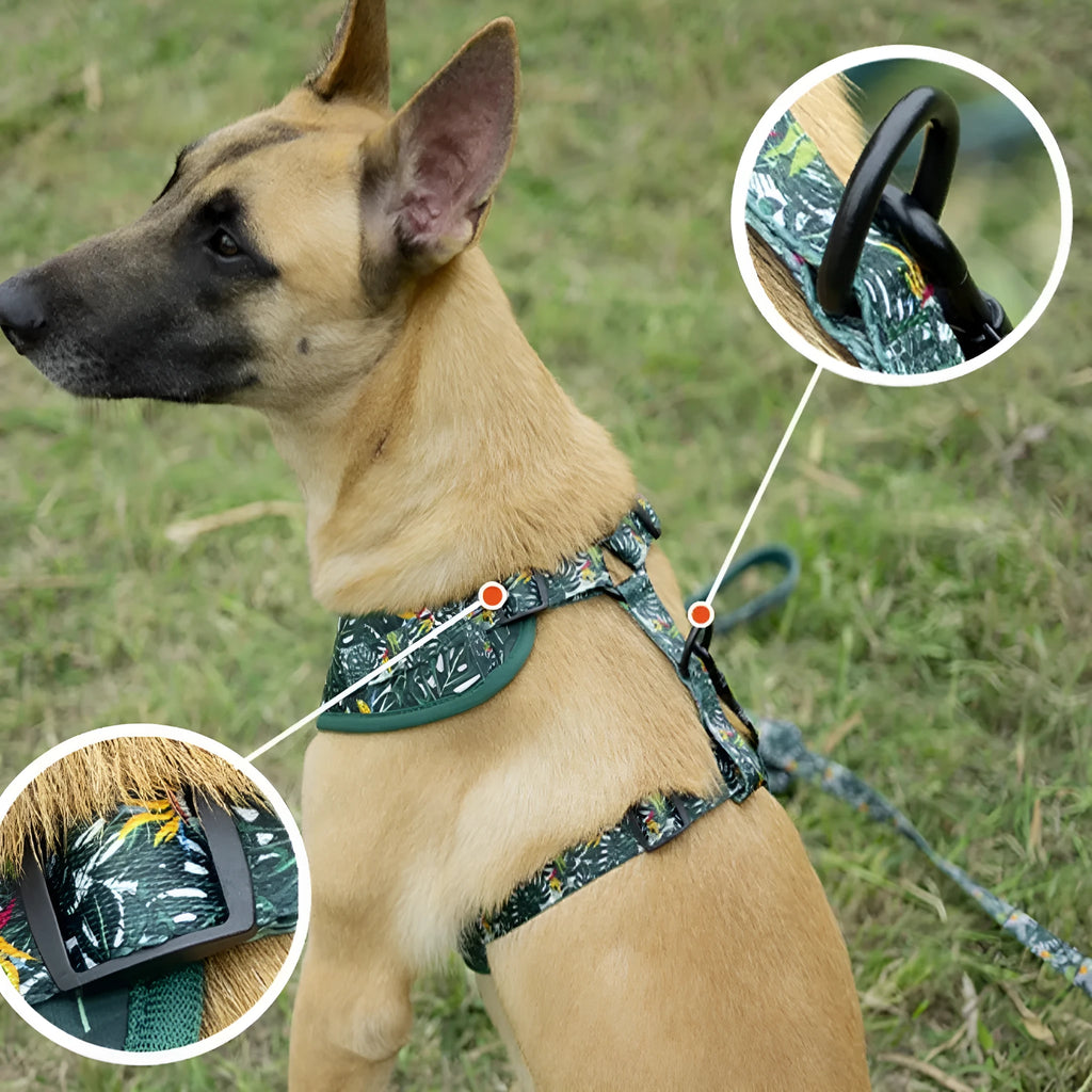 Six-piece pet harness set showing chest and back harness, hand-holding rope, collar, toilet bag, bow tie, and triangular scarf on a cloth background