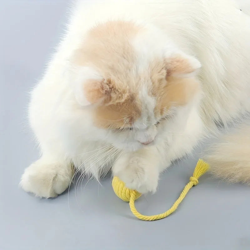 Colourful cat toy ball with an attached rope and an internal bell, shown in green, pink, purple and yellow.