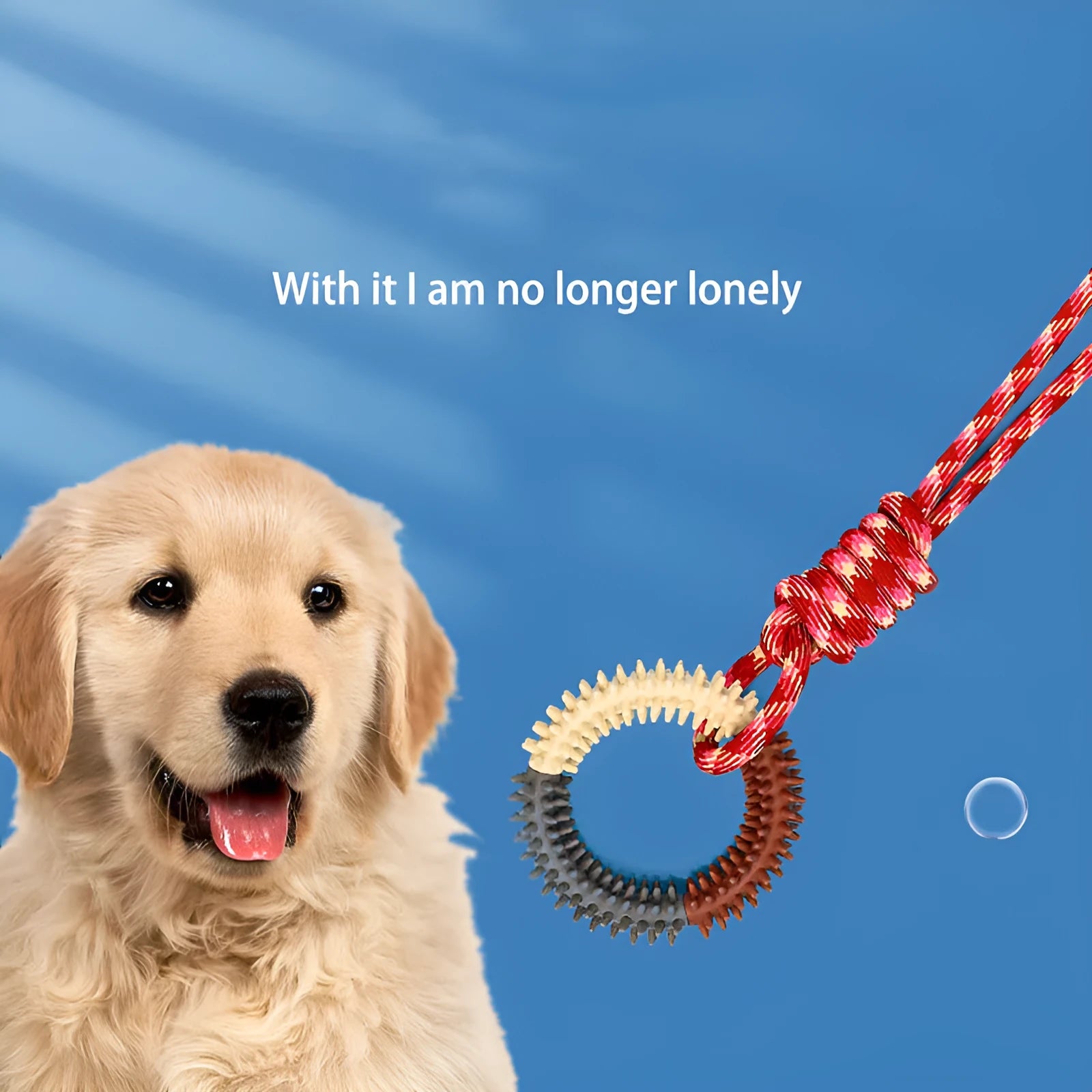 Blue braided rope dog toy with multiple knots, shown on a white background.