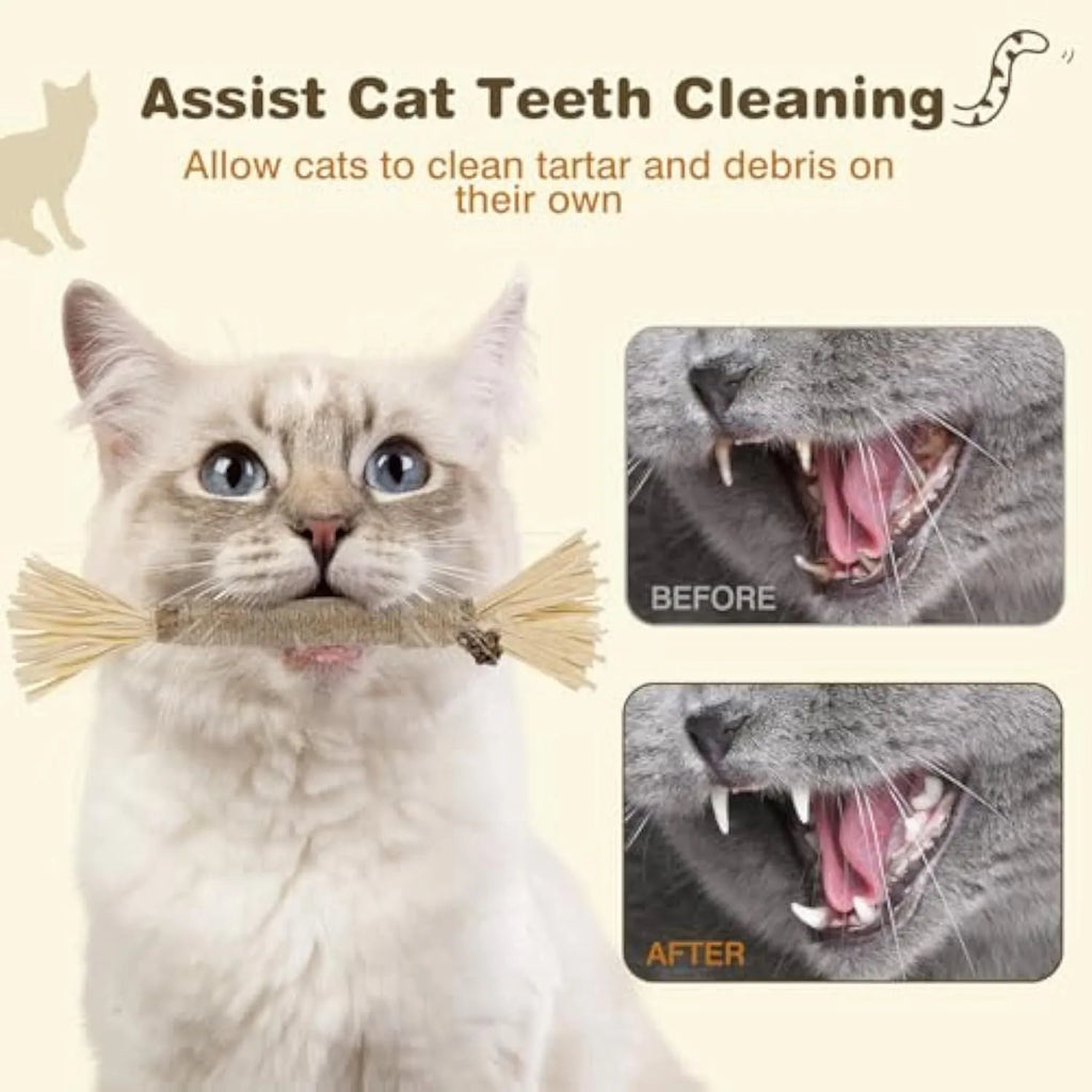 3-pack of natural silvervine chew sticks for cats on a wooden surface