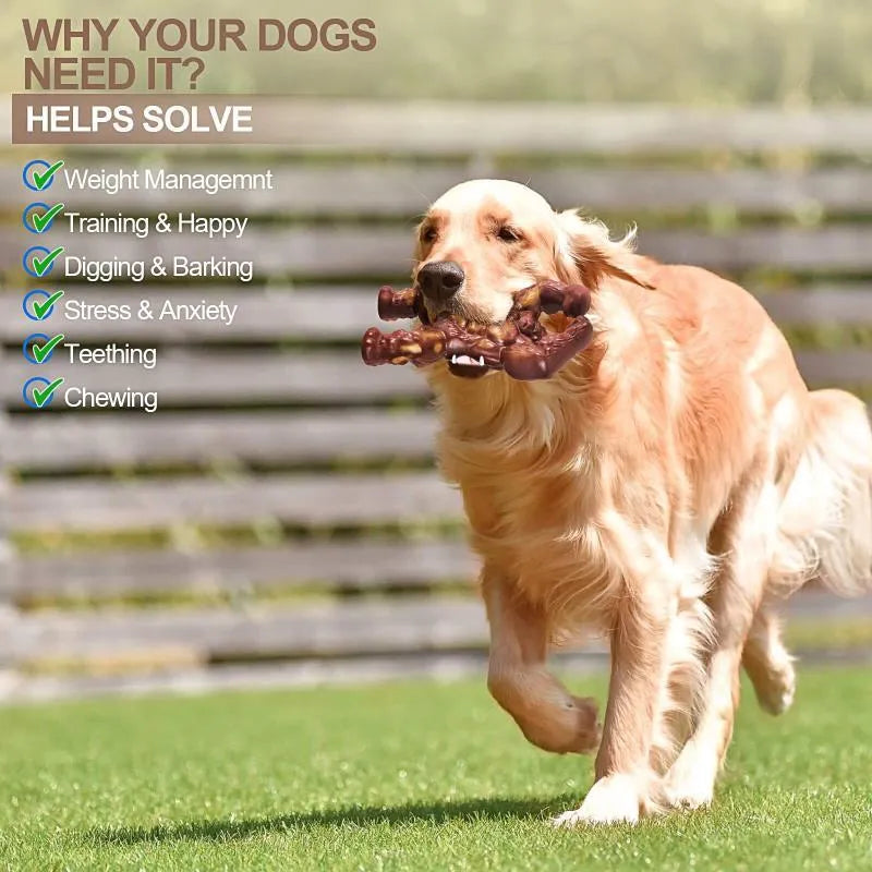 Scarlet nylon dog chew toy with beef flavour for molar nibbling, measuring 10.7x17.2x5cm