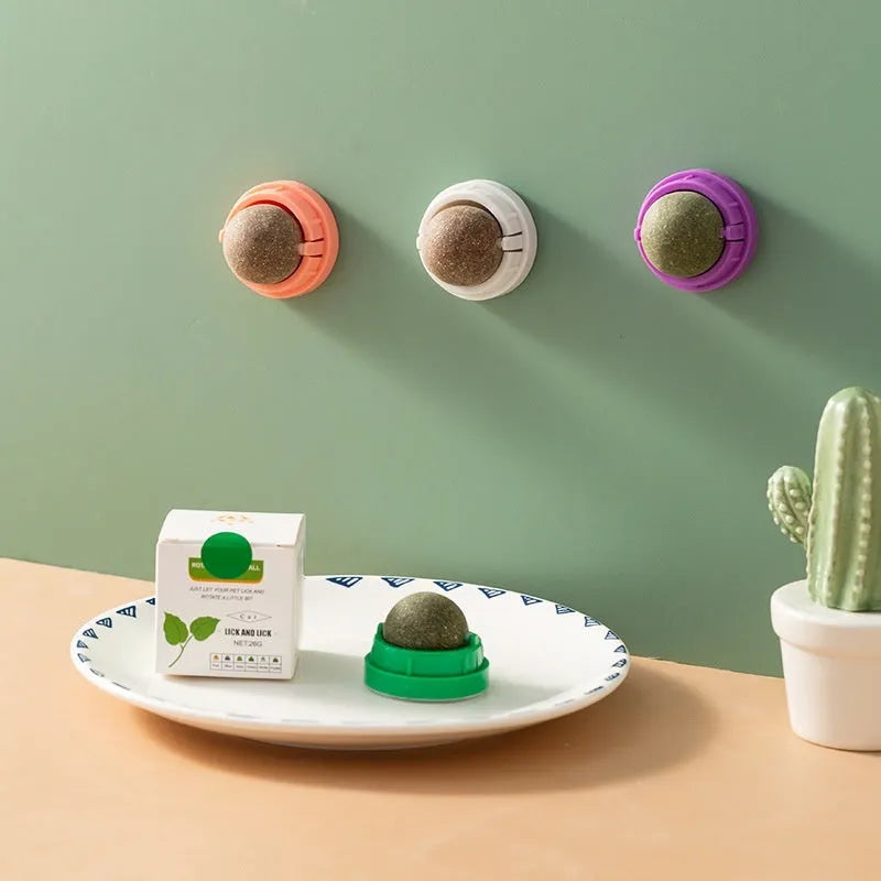 Plastic catnip ball chewing toy in various colours with textured surface for dental cleaning