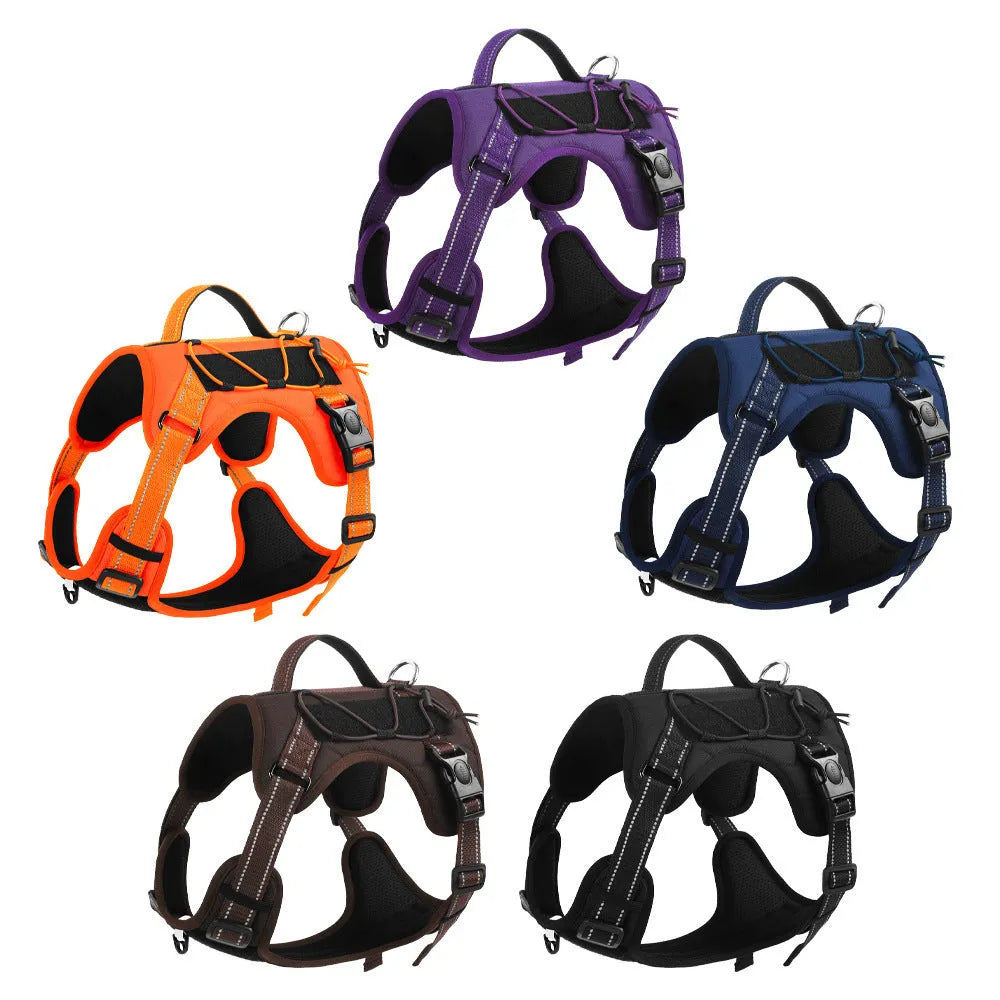 Orange reflective dog vest harness with integrated black hand-grip rope leash on a dog.