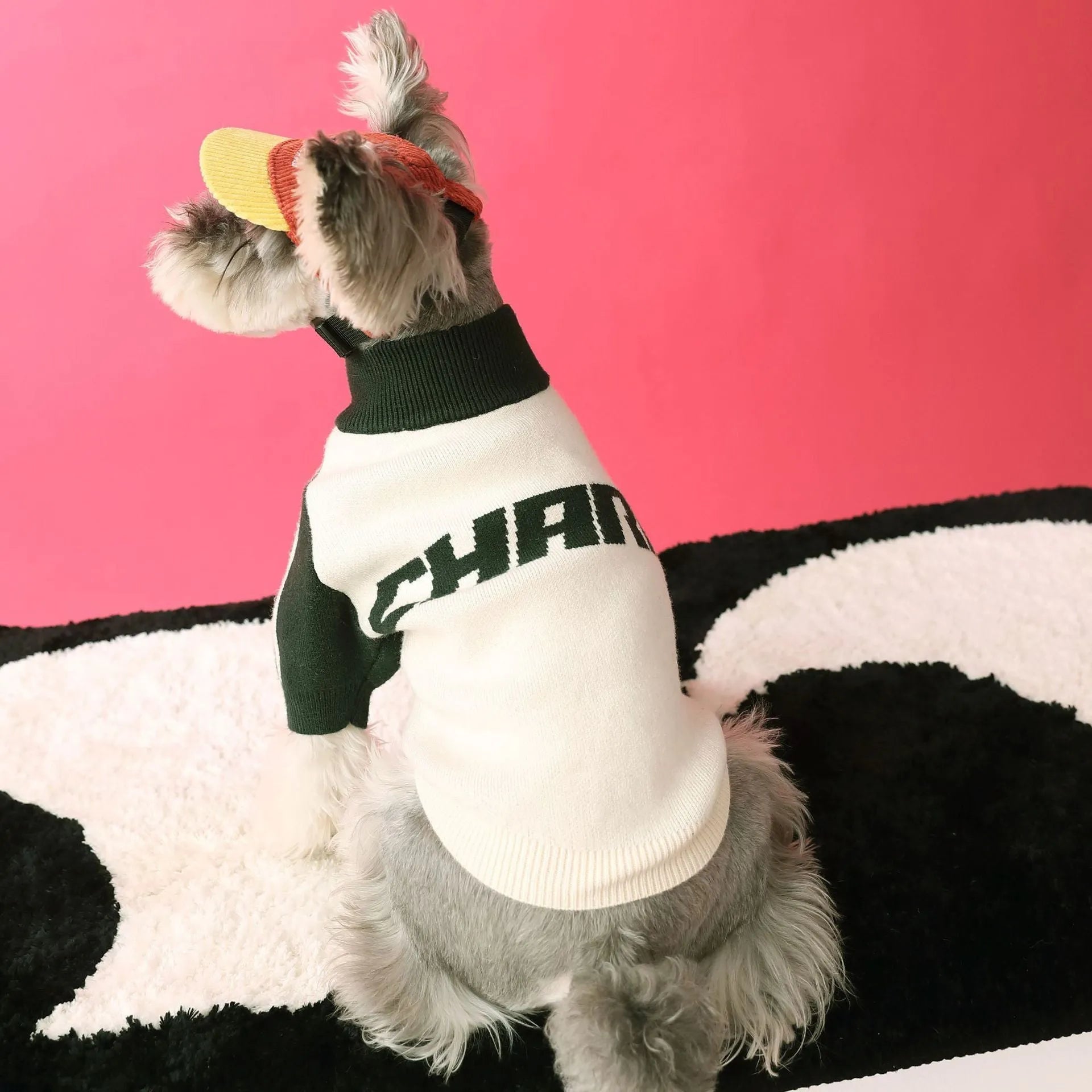 Red wool dog sports sweater cardigan shown on medium-sized dog with casual fit