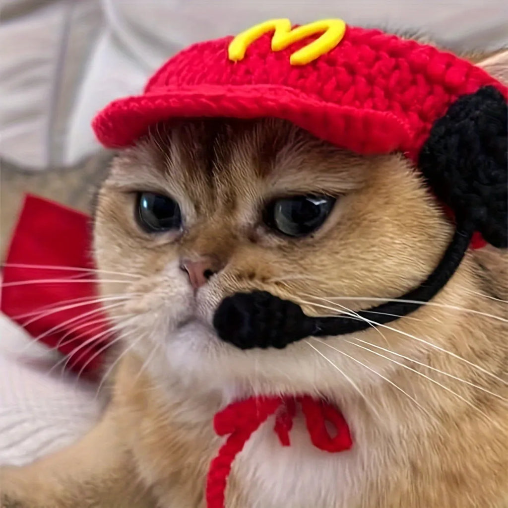 Handmade chef hat and matching cotton knitted sweater costume on a small cat or dog