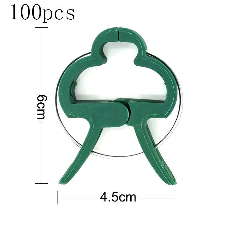 Green plastic plant fixing clips, 10 large and 10 small, for securing climbing plants like tomatoes and cucumbers.