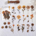 Creative dried flowers journal decoration sticker package showing 8 modern art styles on PET material, 70mm x 70mm size