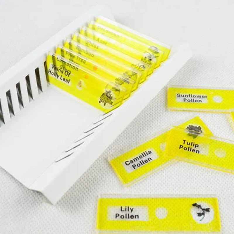 48 plastic microscope slides in red, green, yellow, and blue colours for children's biological observation