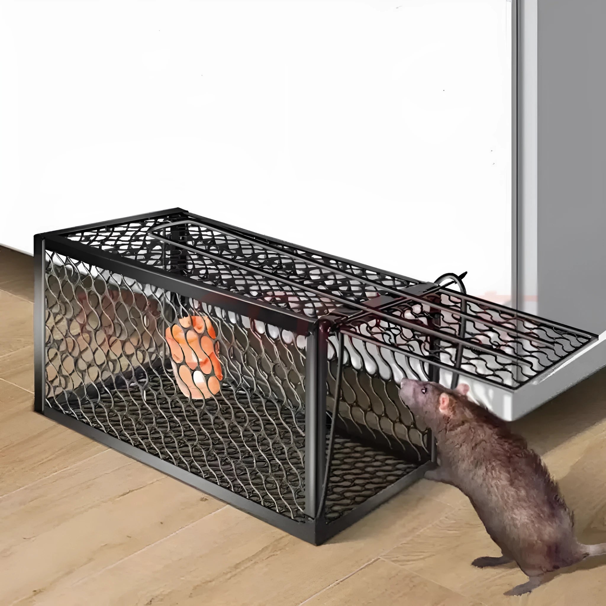 Automatic mouse trap cage with metal spring mechanism and plastic housing in multiple sizes for indoor rodent control