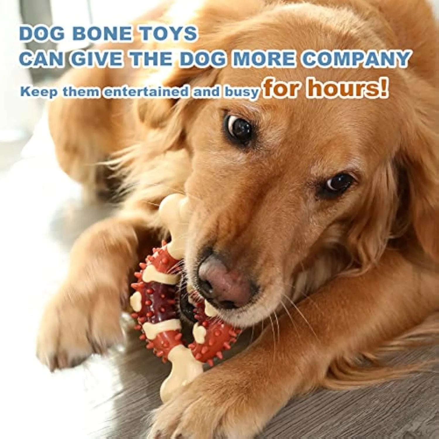 Natural rubber bone-shaped dog teeth grinding toy for dental health and anxiety relief in two sizes