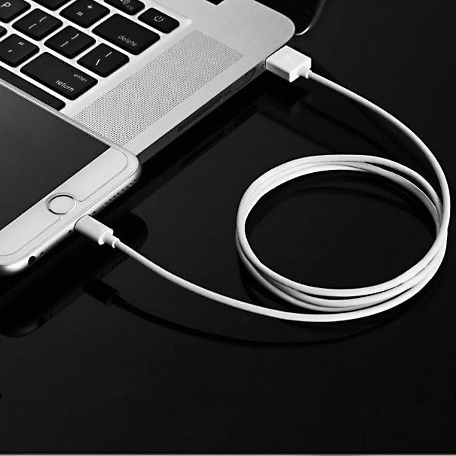 5V 2A USB travel charger unit with cable compatible with iPhone and iPad models