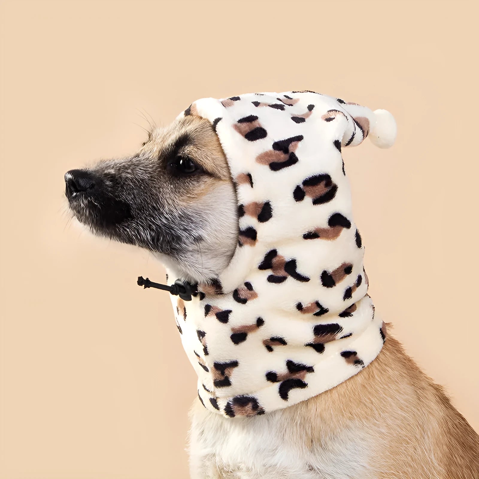 Bear design pet hat with rabbit ears for dogs and cats in cloth material