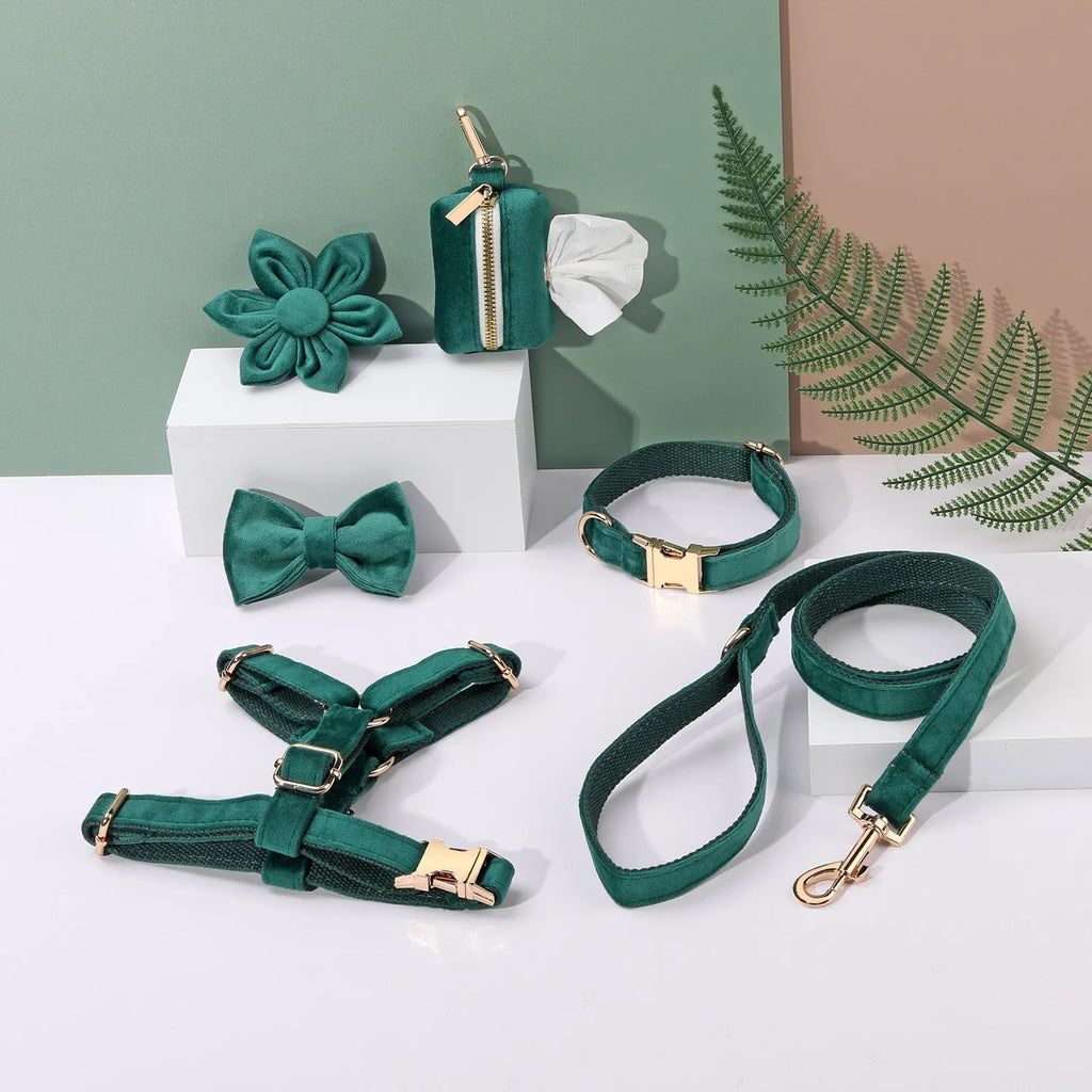 Velvet pet collar set with chest strap, bow tie, and flower accessory in multiple colour options