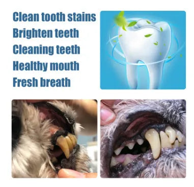White pet teeth whitening pen kit with two 3ml applicators and dental brushes for dog and cat dental care