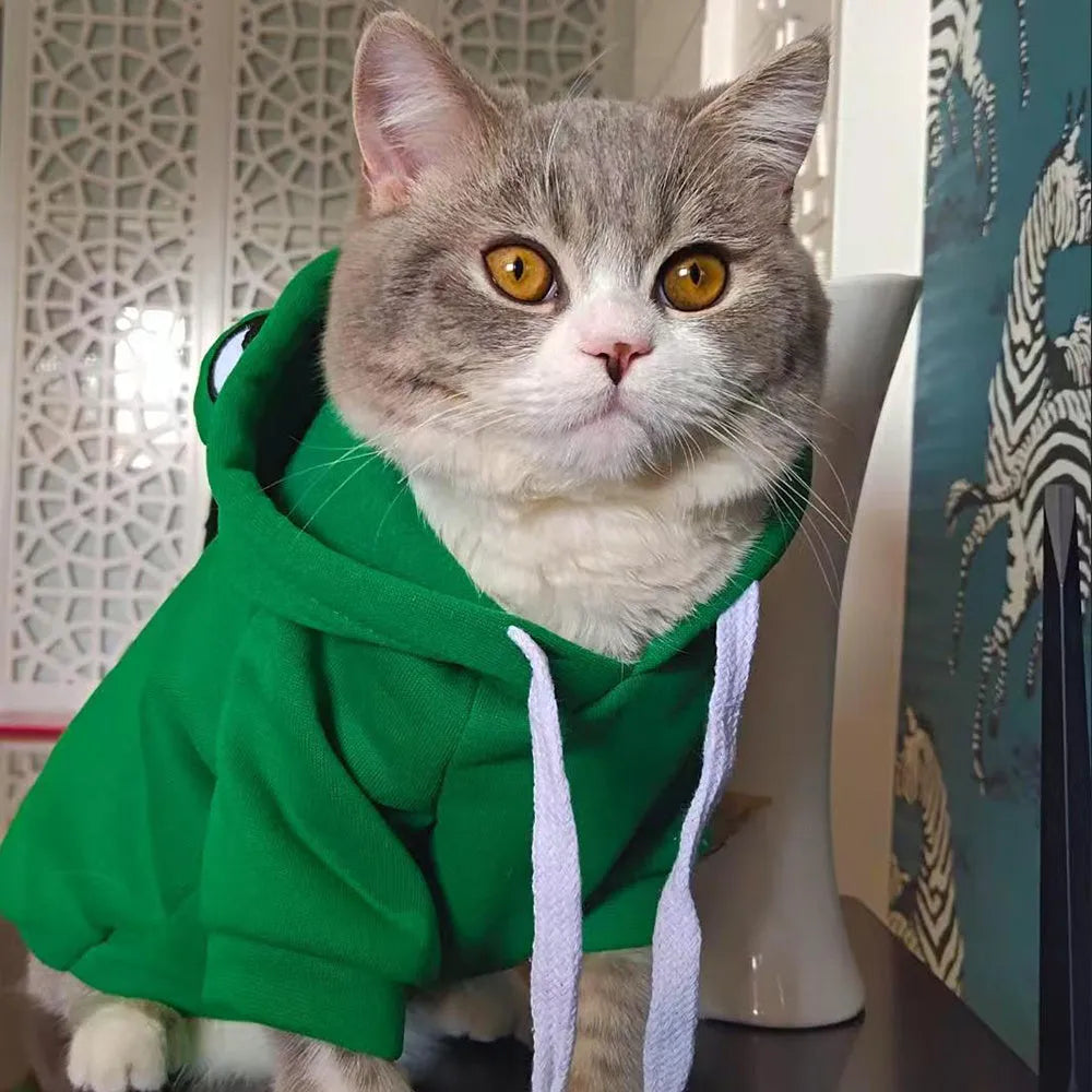 Green frog costume pet hoodie for small dog or cat with hood and detailed size measurements