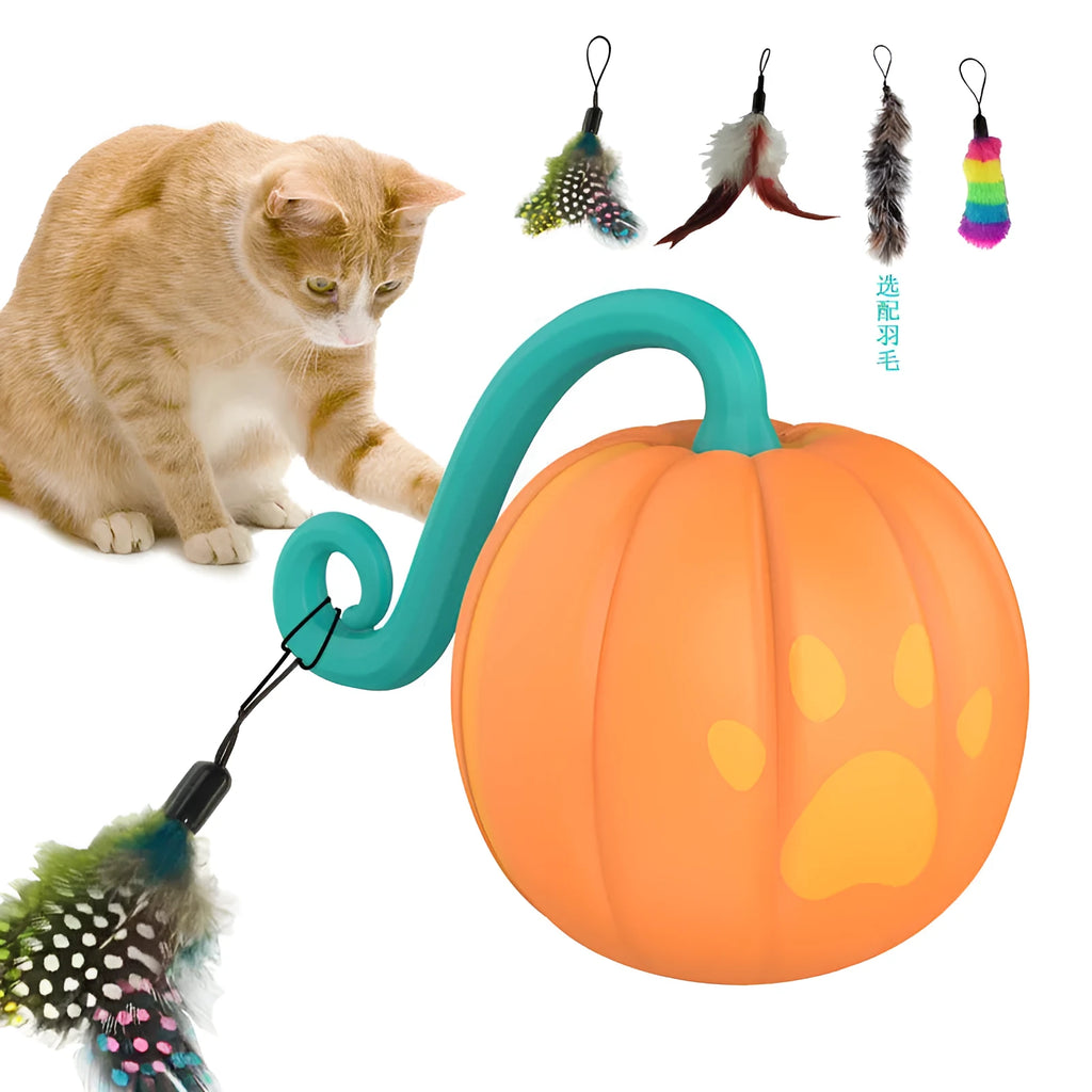 Electric cat toy ball with LED lights in watermelon or pumpkin design