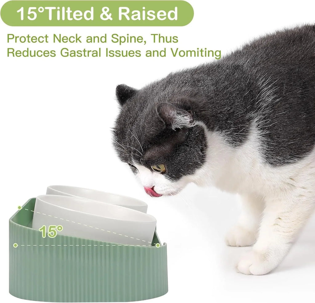Ceramic elevated cat bowls with tilted stand and non-slip base in green, white or yellow