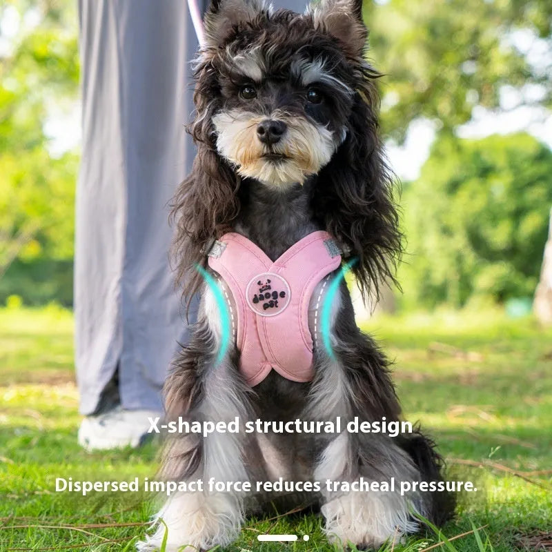 Dog walking vest with attached hand-holding rope in blue, green, pink or yellow colours