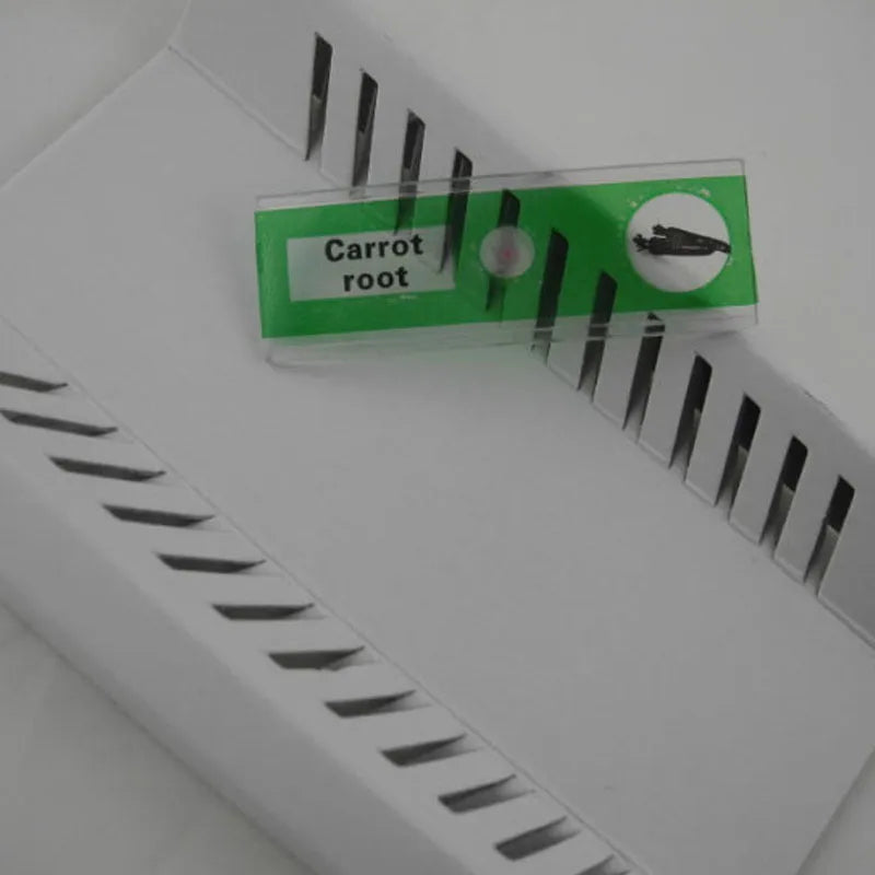 48 plastic microscope slides in red, green, yellow, and blue colours for children's biological observation
