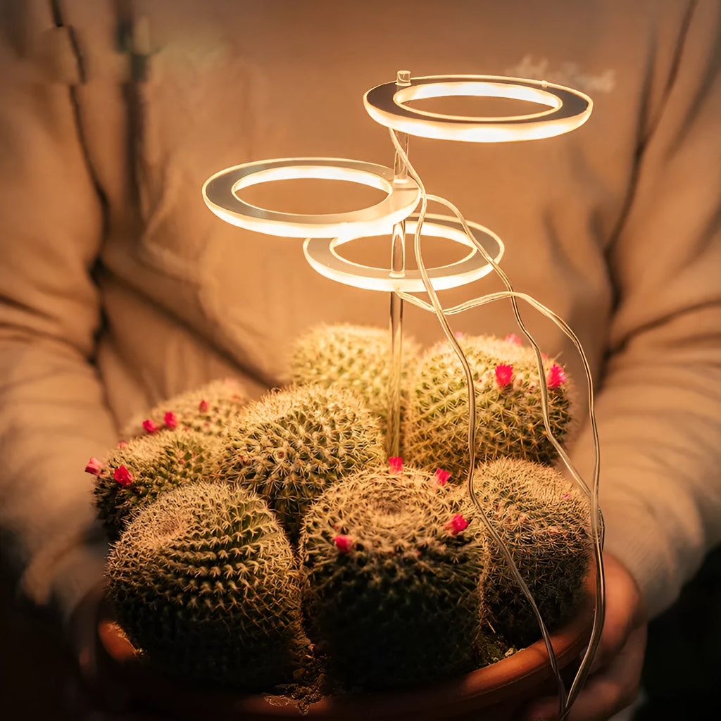 USB-powered LED plant grow light with full spectrum bulb and clear acrylic positioning stick.