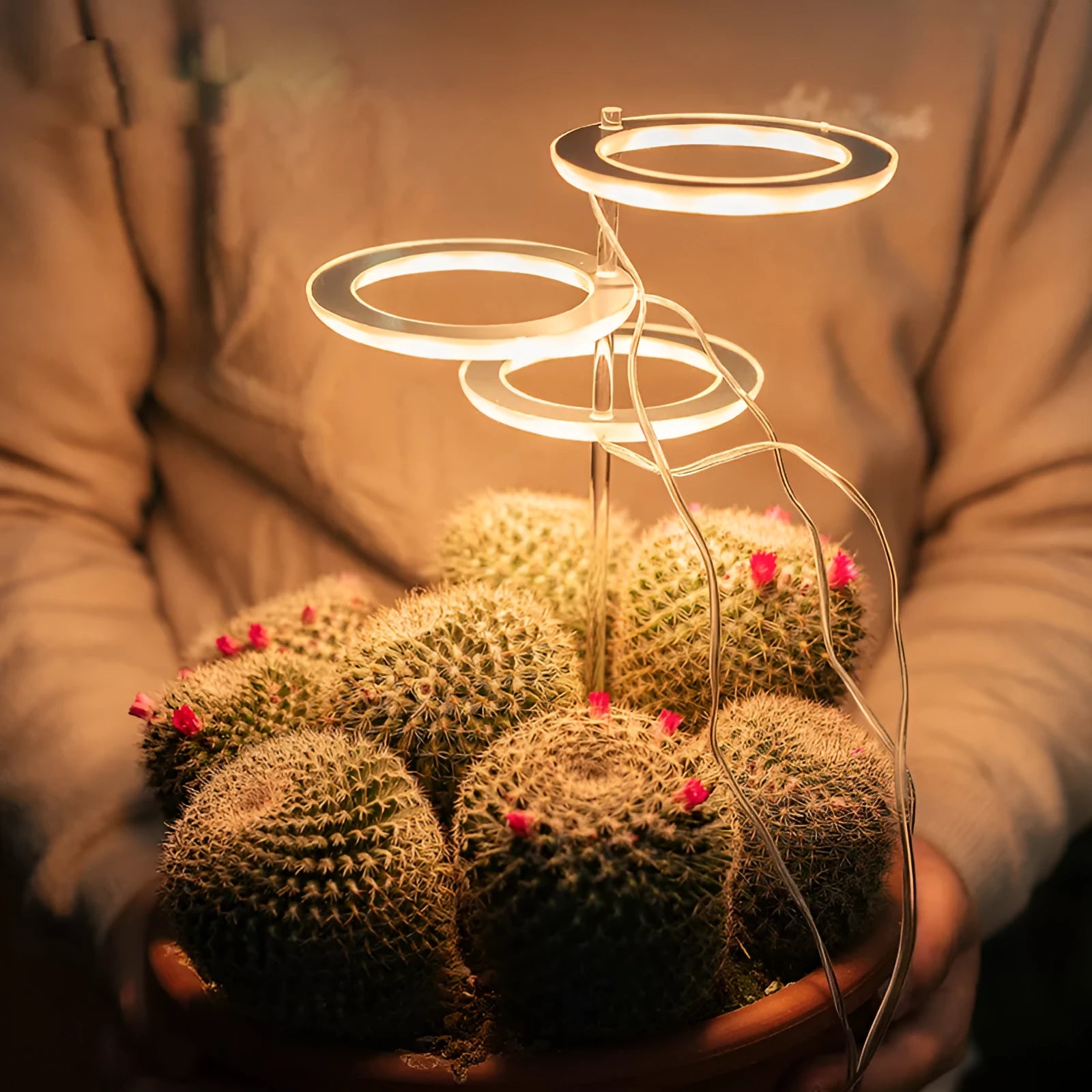 USB-powered LED plant grow light with full spectrum bulb and clear acrylic positioning stick.