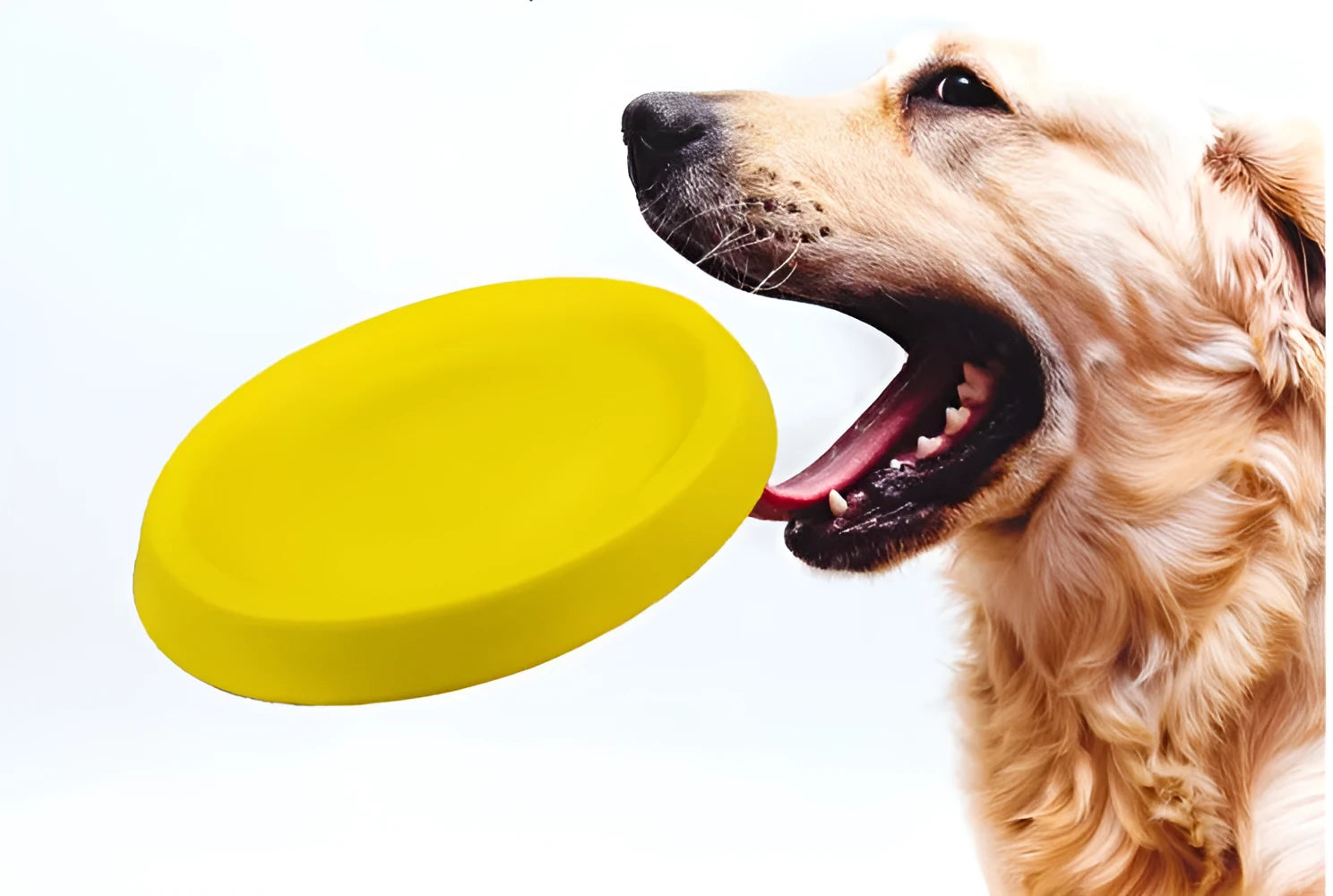 Yellow EVA dog throwing toy for training and interactive play