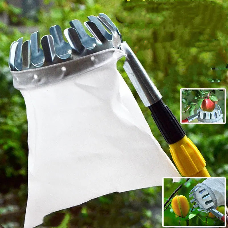 Fruit picker basket with steel frame and cloth bag catcher for harvesting pears and citrus fruits