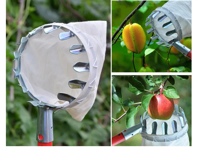 Fruit picker basket with steel frame and cloth bag catcher for harvesting pears and citrus fruits
