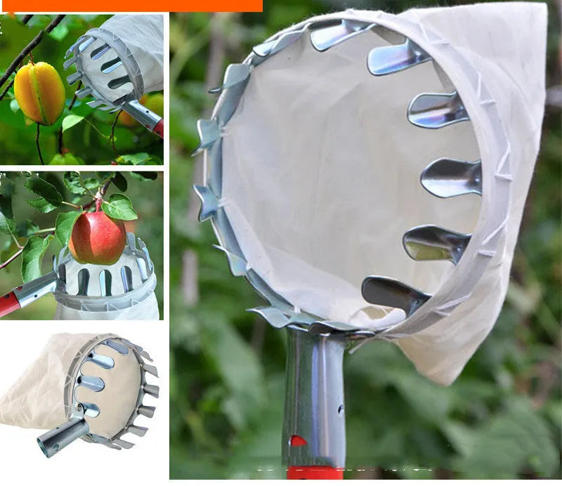 Fruit picker basket with steel frame and cloth bag catcher for harvesting pears and citrus fruits