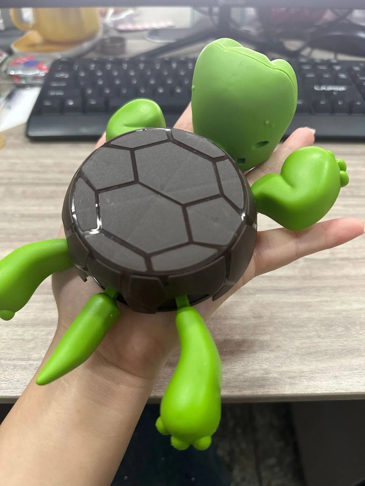 ABS plastic turtle design coaster in light green colour for heat insulation