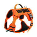 Orange reflective dog vest harness with integrated black hand-grip rope leash on a dog.