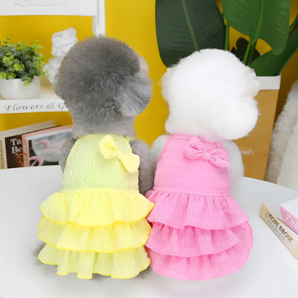 Small dog wearing princess dress with layered skirt design in candy colour option