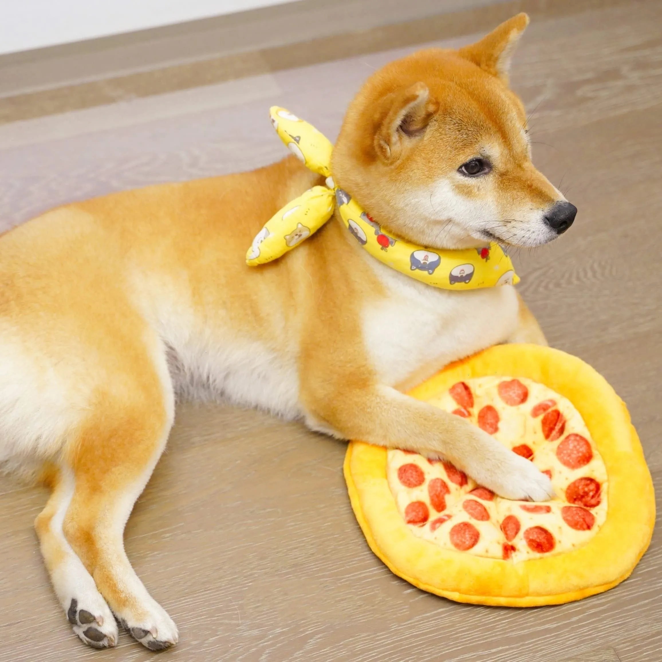 Yellow pizza slice squeaky plush dog chewing toy on white background