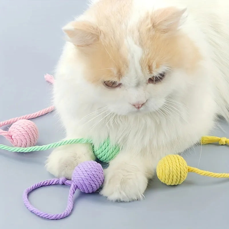 Colourful cat toy ball with an attached rope and an internal bell, shown in green, pink, purple and yellow.