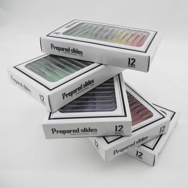 48 plastic microscope slides in red, green, yellow, and blue colours for children's biological observation