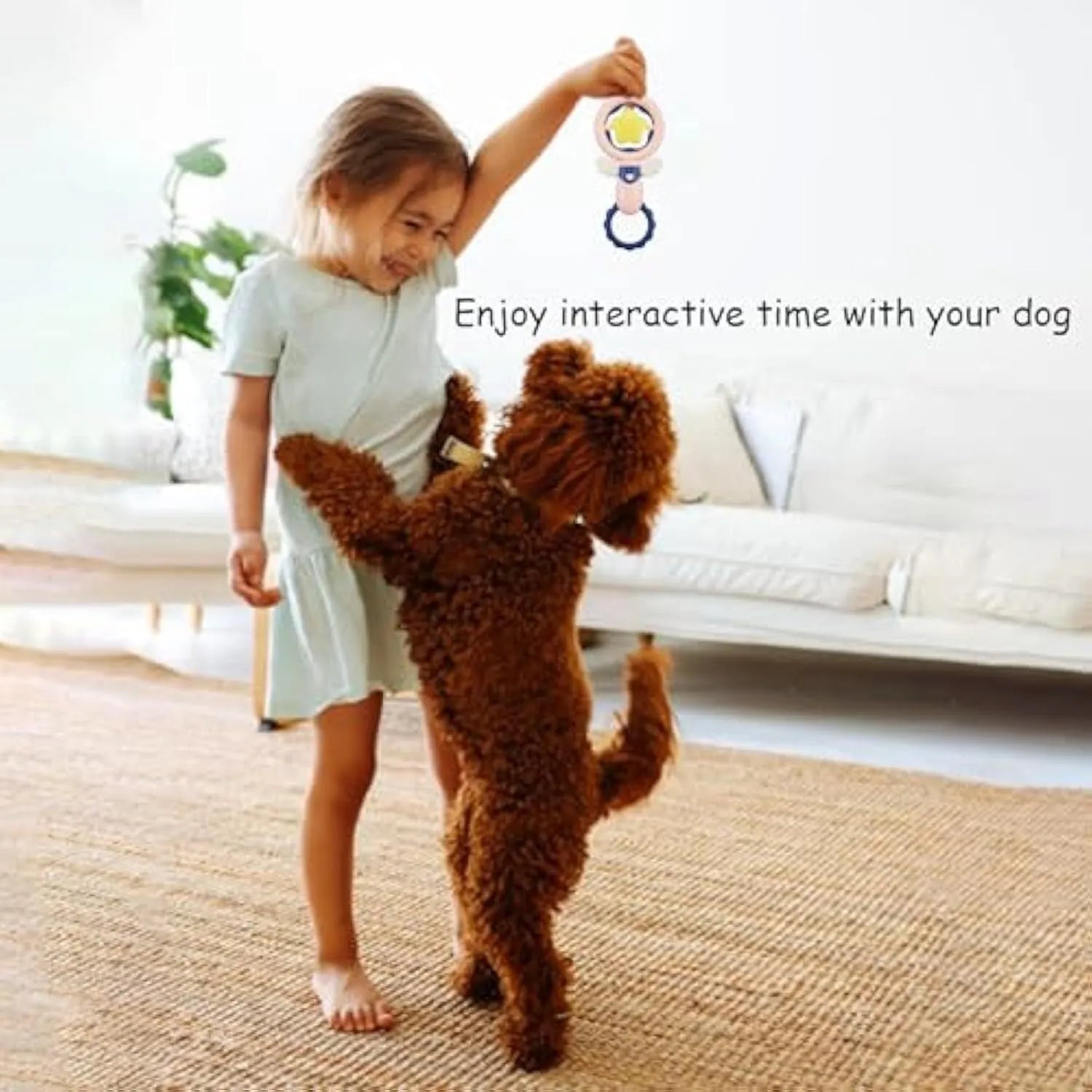Set of four pink rubber dog chew toys with textured surfaces for dental cleaning