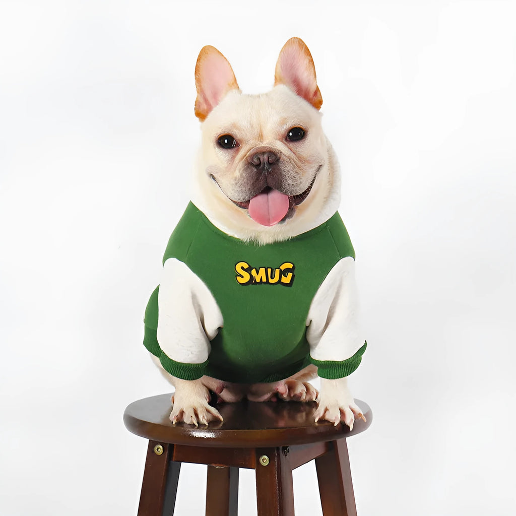 Green cotton dog jumper for large breeds, shown in sizes from L to 4XL.
